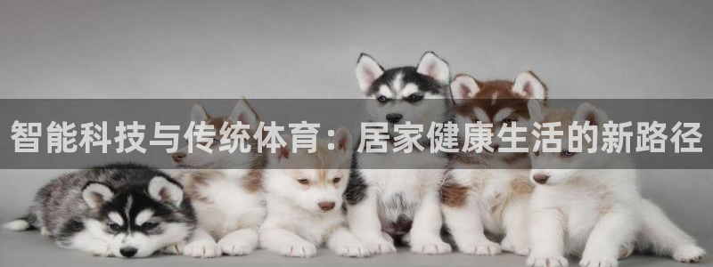 意昂23官网