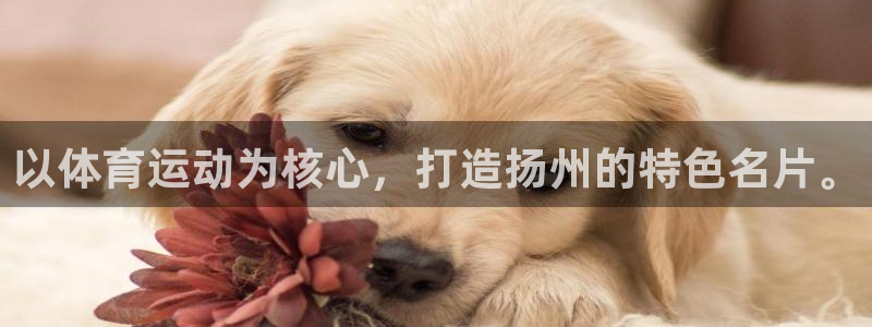 意昂2集团官网