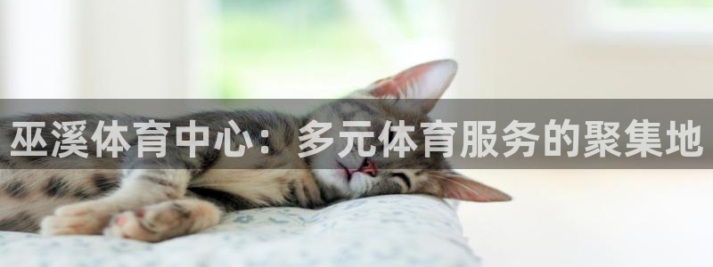 意昂2平台招商