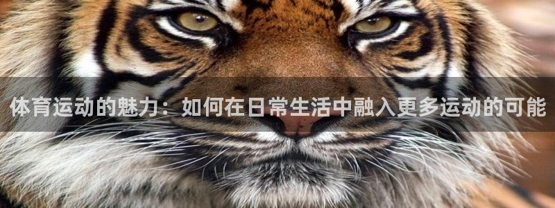 福建意昂机电股份公司