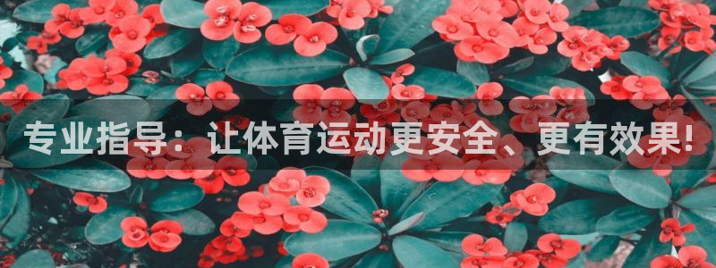 东莞市意昂电子科技有限公司