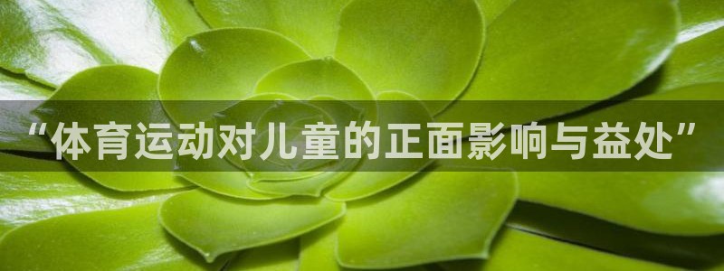 德国意昂集团